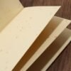 Chinese Xuan Paper  Folding Painting Calligraphy Booklet