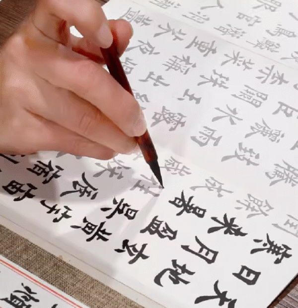 007 Chinese Calligraphy Writing Copying Booklet Artwork for < Qian Zi Wen> < The Thousands Chinese Character Classic >