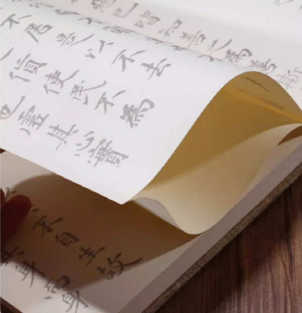 010 Chinese Calligraphy Writing Copying Booklet Artwork for < Qian Zi Wen> < The Thousands Chinese Character Classic >