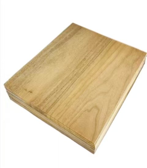 10 inch Xuan Paper  Folding Fan 6pcs/set for Painting Calligraphy Camphor Wood Box Sets Creative Cultural Souvenirs Gift Set